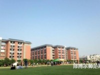 中山大學(xué)新華師范學(xué)院東莞校區(qū)2023年學(xué)費(fèi)、收費(fèi)多少