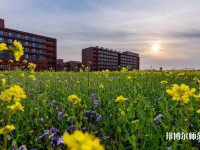 南開師范大學津南校區(qū)2023年學費、收費多少