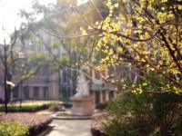 東華大學師范學院延安路校區(qū)2023年學費、收費多少