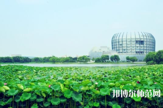 東華大學(xué)師范學(xué)院延安路校區(qū)招生辦聯(lián)系電話(huà)