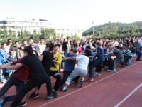 廈門城市師范職業(yè)學(xué)院學(xué)院2023年學(xué)費、收費多少