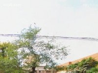 西安職業(yè)中等幼師專業(yè)學校2023年報名條件、招生要求、招生對象