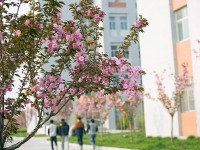 渭南職業(yè)技術師范學院朝陽校區(qū)2023年學費、收費多少