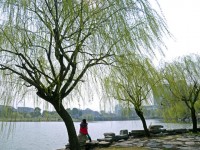 金華職業(yè)技術(shù)師范學院2023年學費、收費多少