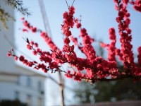 山東威海藝術(shù)幼兒師范學(xué)校2023年學(xué)費、收費多少