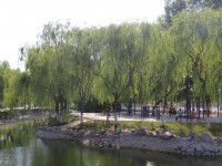 新鄉(xiāng)工程師范學(xué)院2023年學(xué)費(fèi)、收費(fèi)多少