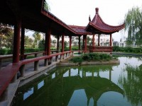 永城職業(yè)師范學院歷年招生錄取分數線