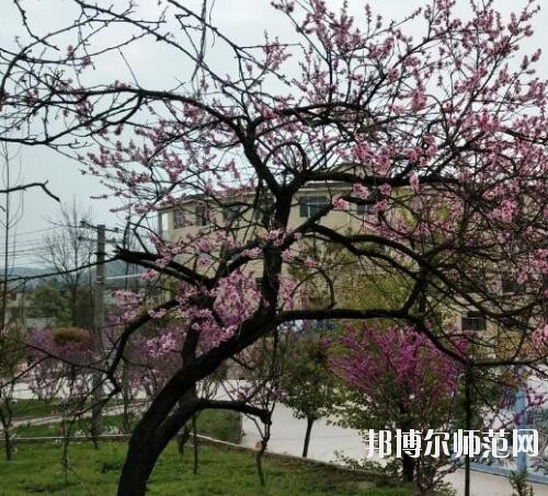 貴陽中華幼師職業(yè)學(xué)校2023年怎么樣、好不好