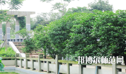 德陽(yáng)通用電子科技幼兒師范學(xué)校2020年報(bào)名條件、招生要求、招生對(duì)象