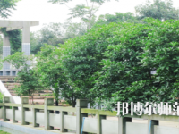 德陽通用電子科技幼兒師范學(xué)校2021年報(bào)名條件、招生要求、招生對(duì)象