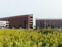 湖北中專幼師學(xué)?？梢钥即髮? /><b>湖北中專幼師學(xué)?？梢钥即髮?/b><span>2019-09-10 15:54</span><p>湖北中專幼師學(xué)校可以考大專嗎？肯定可以的。首先我們要清楚，幼師中專學(xué)歷想報(bào)考大專是可以的。就算你現(xiàn)在已經(jīng)是中專學(xué)歷，也可</p></a></li>
            <li><a href=