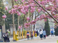 石家莊法商幼兒師范中等專業(yè)學(xué)校2023年學(xué)費(fèi)、收費(fèi)多少