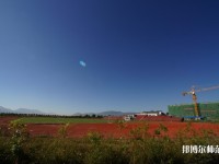 云南2020年初中生有哪些幼師學(xué)校？