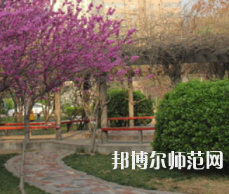 鄭州2020年幼師學(xué)?？梢詫W(xué)什么