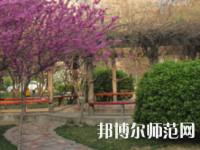鄭州2020年幼師學(xué)?？梢詫W(xué)什么