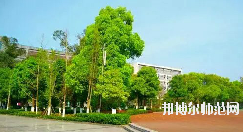 重慶市九龍坡幼師職業(yè)教育中心怎么樣、好不好。