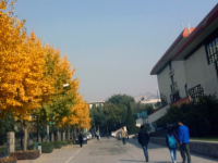 西北師范大學(xué)2023年學(xué)費(fèi)、收費(fèi)多少