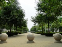 廣西現(xiàn)代職業(yè)技術(shù)師范學(xué)院2023年報(bào)名條件、招生要求、招生對(duì)象