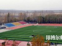 鶴崗師范高等專科學校2023年報名條件、招生要求、招生對象