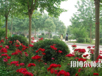 河南科技職業(yè)師范大學(xué)2023年報(bào)名條件、招生要求、招生對(duì)象