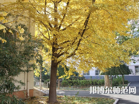 北京京北職業(yè)師范技術學院2023年報名條件、招生要求、招生對象