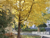 北京京北職業(yè)師范技術(shù)學(xué)院2023年報(bào)名條件、招生要求、招生對(duì)象