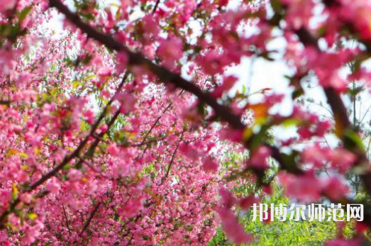 鄭州大學(xué)師范學(xué)院主校區(qū)2023年報名條件、招生要求、招生對象