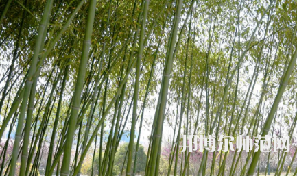 周口職業(yè)技術(shù)師范學(xué)院開元校區(qū)2023年報(bào)名條件、招生要求、招生對(duì)象