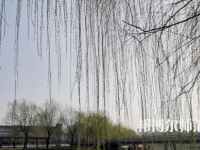 鶴壁職業(yè)技術師范學院2023年怎么樣、好不好