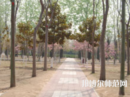 濮陽職業(yè)技術(shù)師范學(xué)院2023年報(bào)名條件、招生要求、招生對象