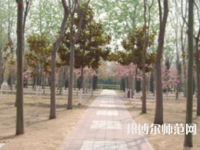 濮陽職業(yè)技術師范學院2023年報名條件、招生要求、招生對象