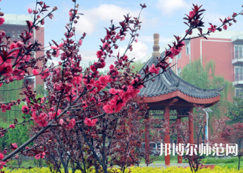 駐馬店師范職業(yè)技術(shù)學(xué)院2023年報名條件、招生要求、招生對象