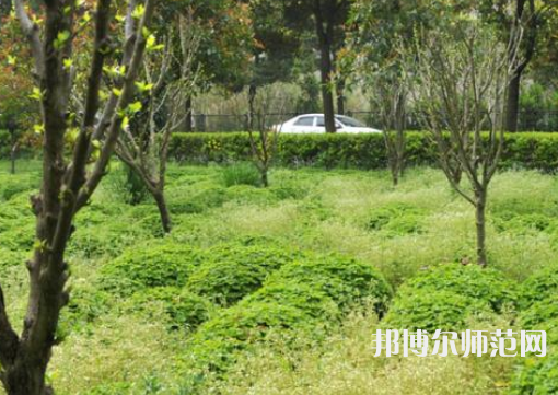 駐馬店師范職業(yè)技術(shù)學(xué)院2023年報名條件、招生要求、招生對象