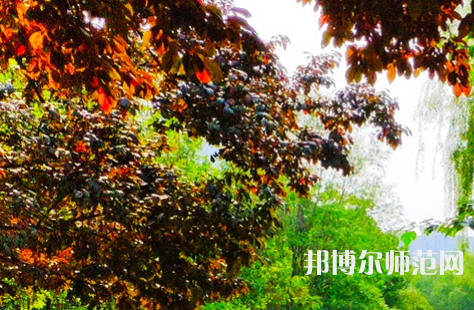河南大學(xué)師范學(xué)院金明校區(qū)2023年怎么樣、好不好