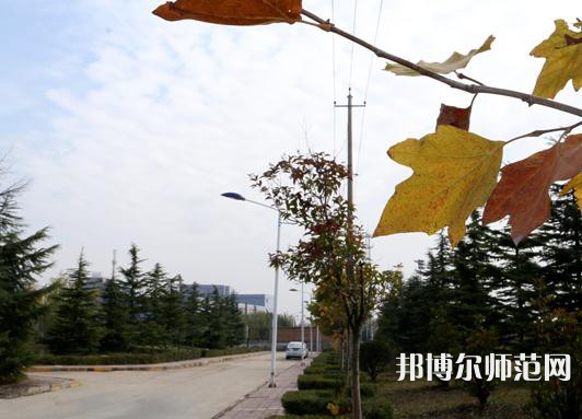 陜西職業(yè)技術(shù)師范學(xué)院2023年報名條件、招生要求、招生對象 