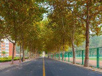 聊城師范大學(xué)東昌學(xué)院2023年報(bào)名條件、招生要求、招生對(duì)象