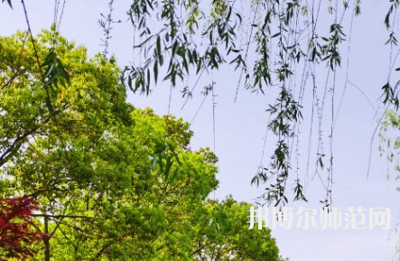 南陽理工師范學院2023年報名條件、招生要求、招生對象