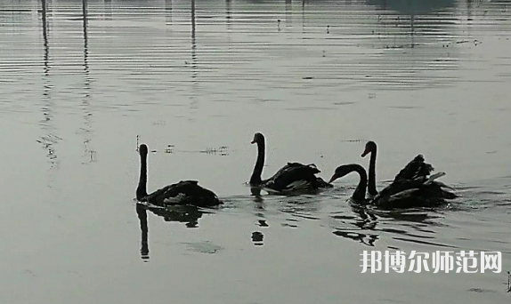 浙江師范大學(xué)行知學(xué)院蘭溪校區(qū)2023年怎么樣、好不好