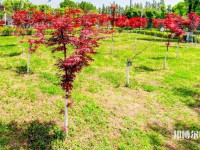 漢中職業(yè)技術師范學院2023年怎么樣、好不好