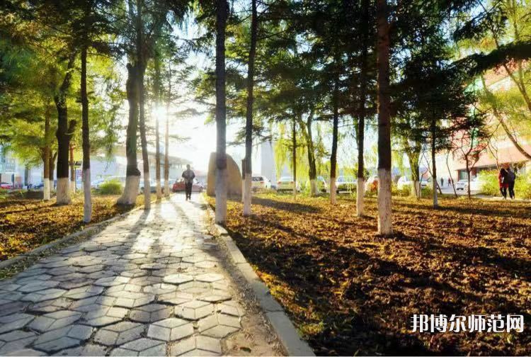 長春大學(xué)師范學(xué)院主校區(qū)2023年報(bào)名條件、招生要求、招生對(duì)象