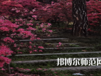 信陽師范學(xué)院華銳學(xué)院2023年報(bào)名條件、招生要求、招生對(duì)象