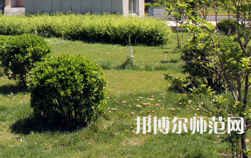 安陽(yáng)幼兒師范高等?？茖W(xué)校歷年招生錄取分?jǐn)?shù)線
