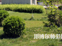 安陽幼兒師范高等?？茖W(xué)校歷年招生錄取分數(shù)線