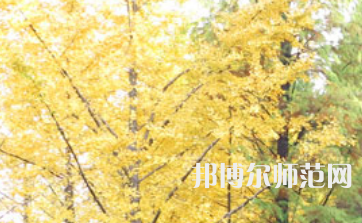 信陽師范學(xué)院2023年怎么樣、好不好