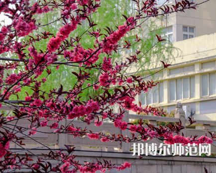 蘇州科技師范大學天平學院2023年報名條件、招生要求、招生對象