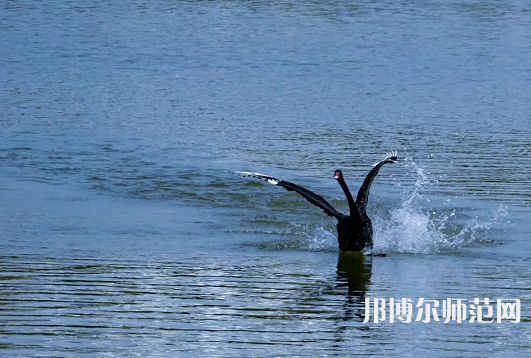 浙江師范大學(xué)2023年怎么樣、好不好