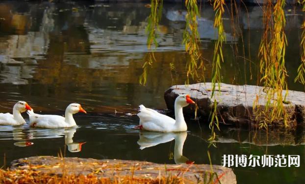 山東財(cái)經(jīng)師范大學(xué)萊蕪校區(qū)2023年報(bào)名條件、招生要求、招生對象 