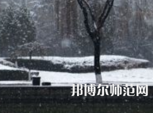 焦作師范高等?？茖W(xué)校2023年招生代碼