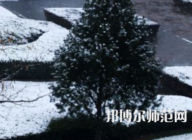 焦作師范高等?？茖W(xué)校2023年報(bào)名條件、招生要求、招生對(duì)象