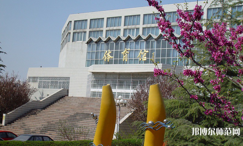 山東財經(jīng)師范大學圣井校區(qū)2023年報名條件、招生要求、招生對象 